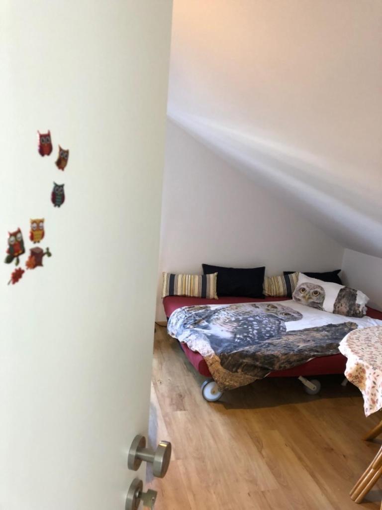 Eulennestle Leilighet Lenzkirch Eksteriør bilde